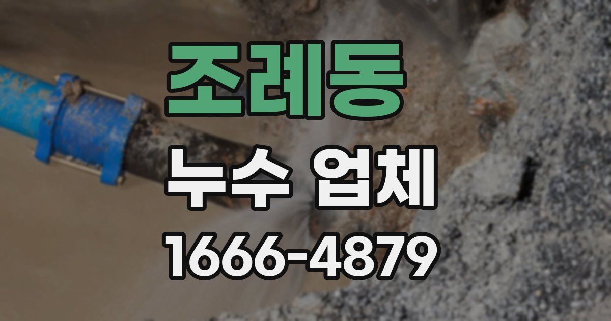조례동 누수 업체