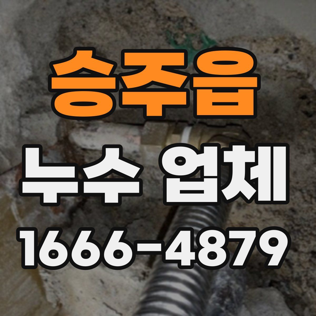 승주읍 누수 업체
