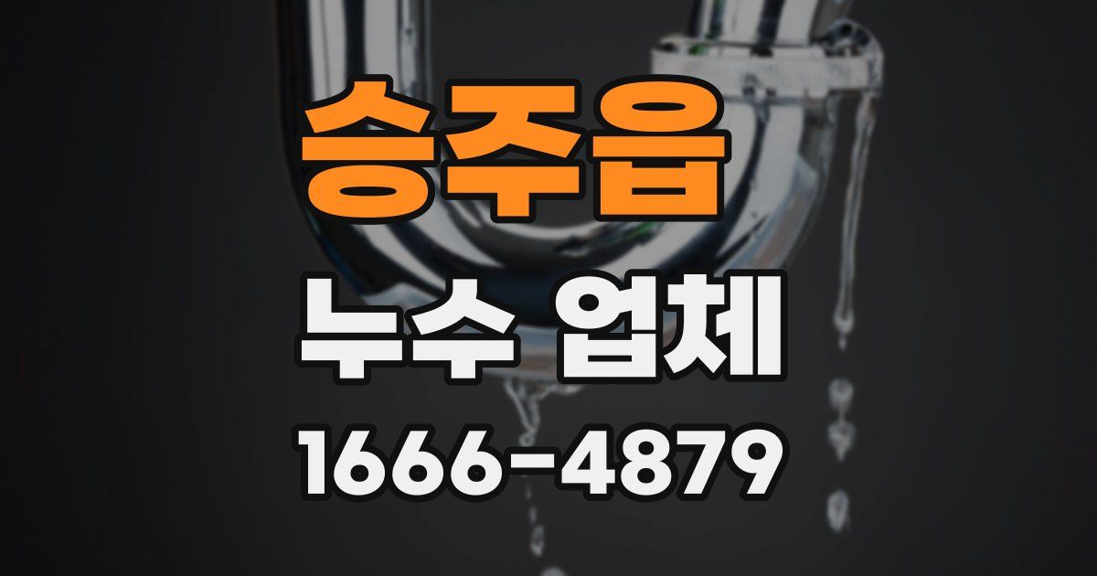승주읍 누수 업체