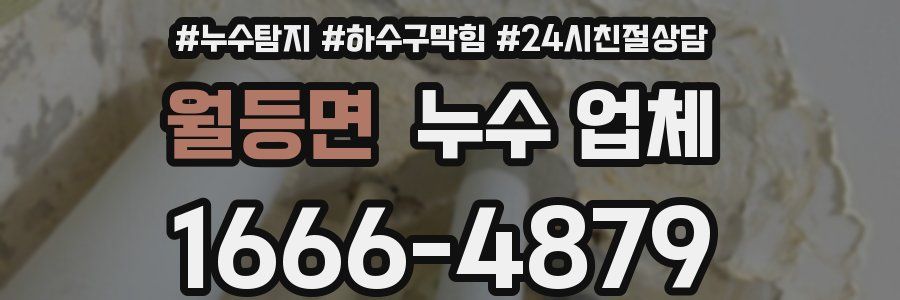 월등면 누수 업체
