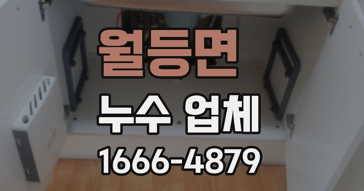 월등면 누수 업체