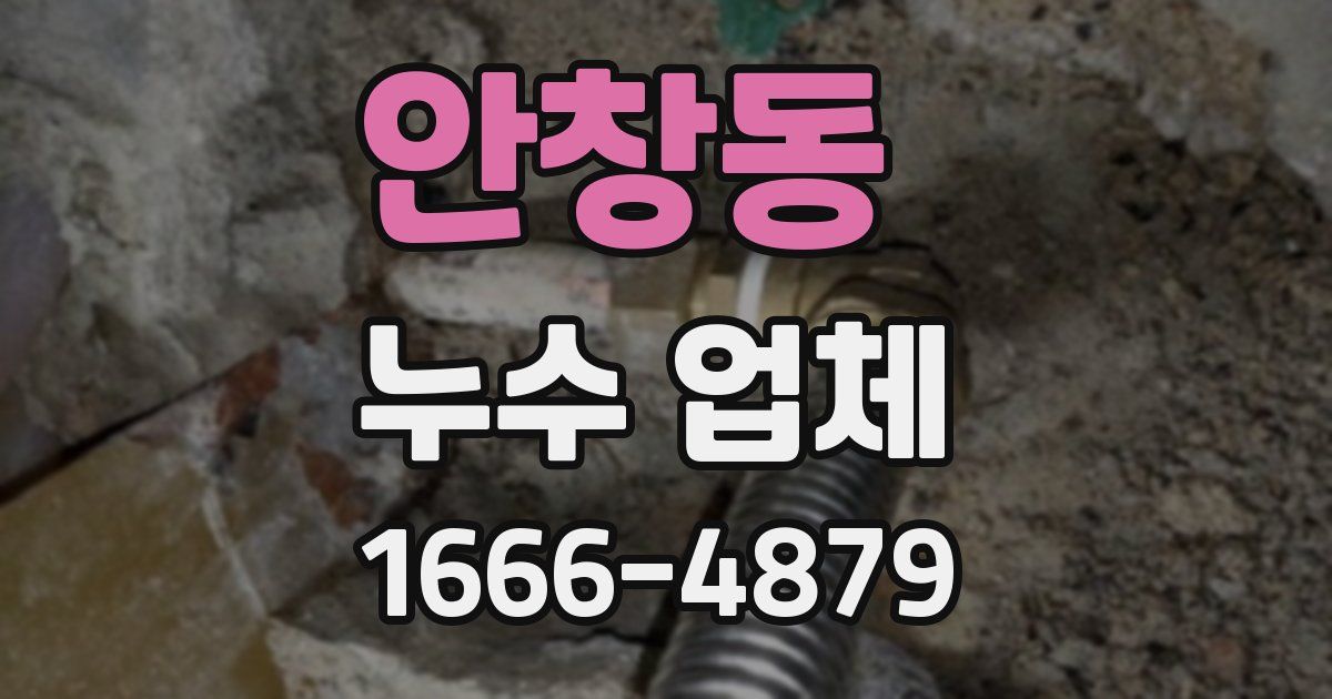 안창동 누수 업체
