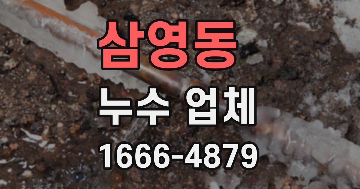 삼영동 누수 업체
