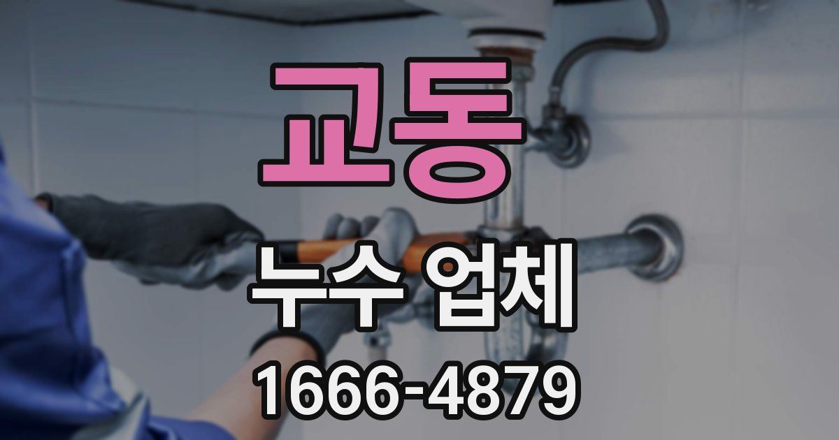 교동 누수 업체