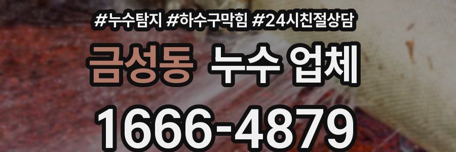 금성동 누수 업체