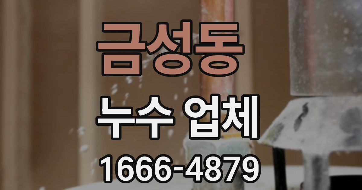 금성동 누수 업체