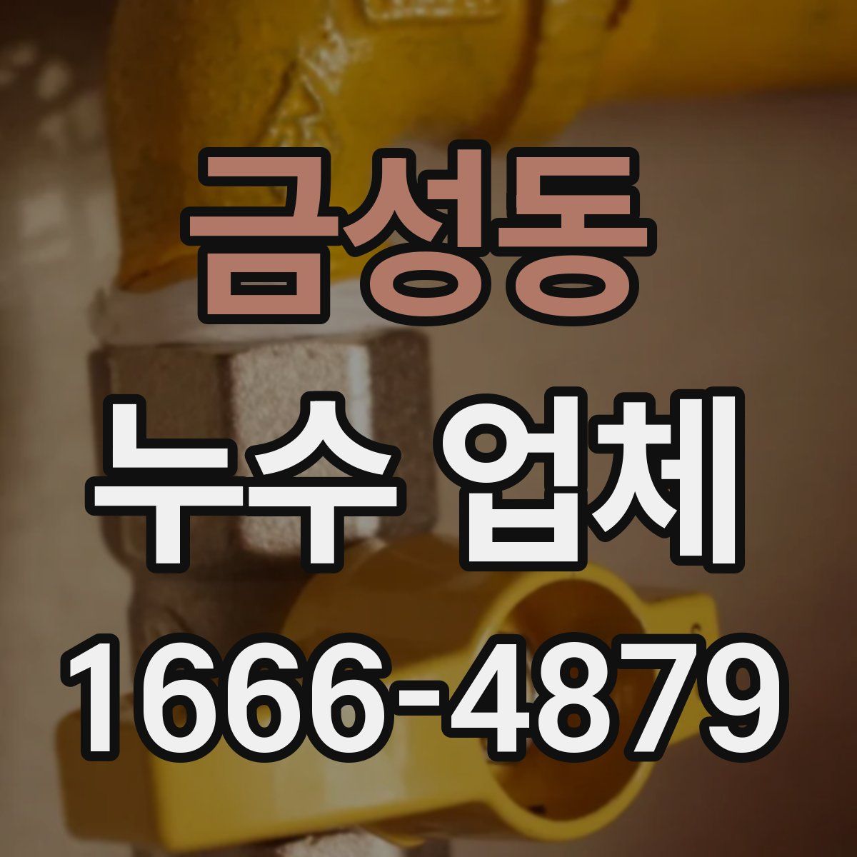 금성동 누수 업체