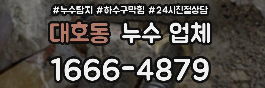 대호동 누수 업체
