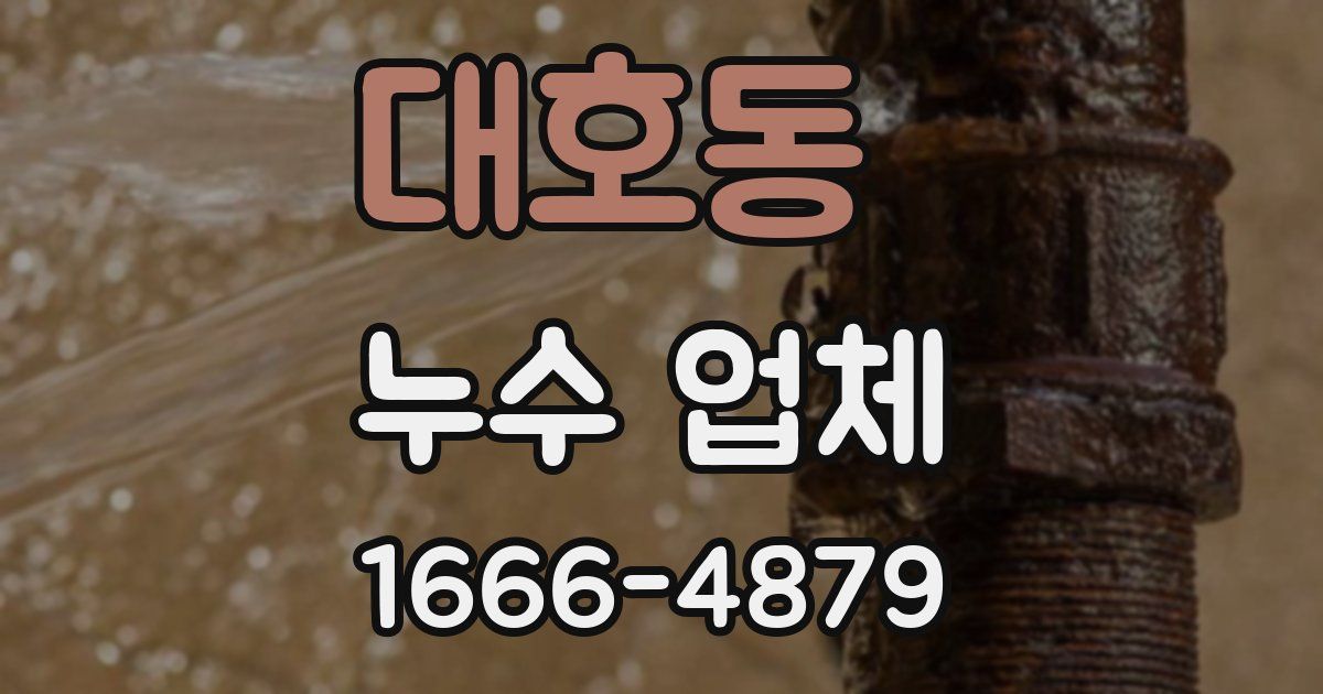 대호동 누수 업체