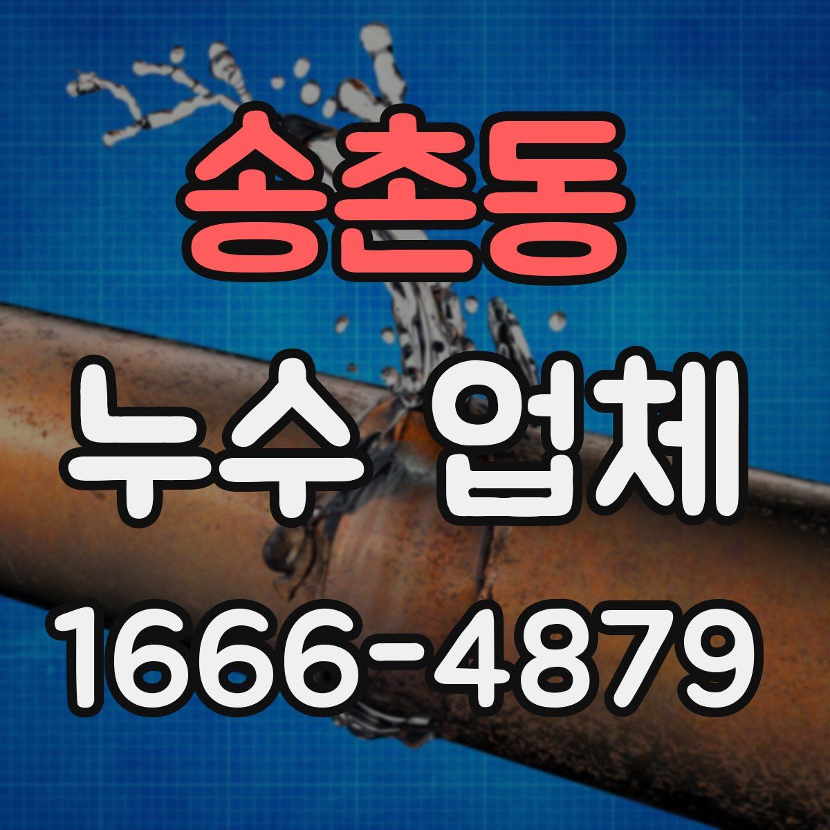 송촌동 누수 업체