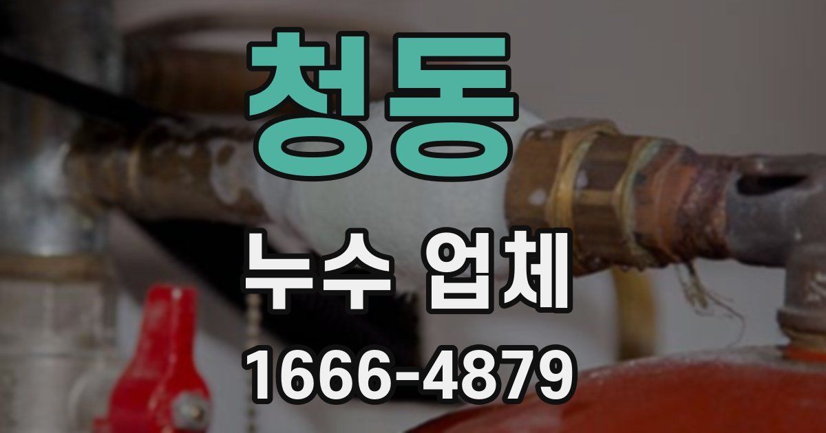 청동 누수 업체