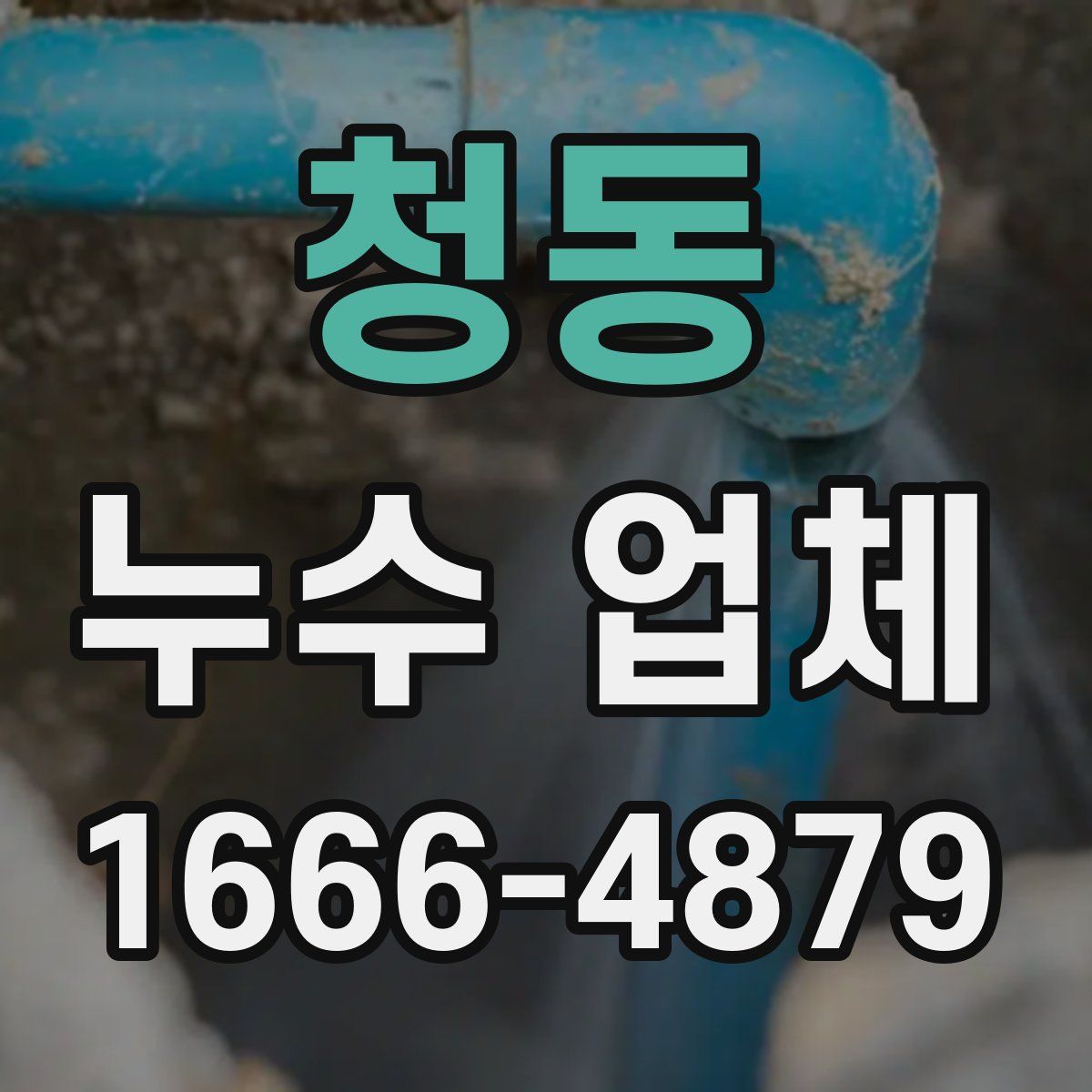 청동 누수 업체