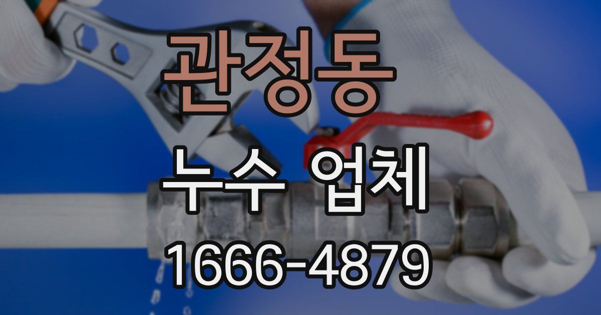 관정동 누수 업체