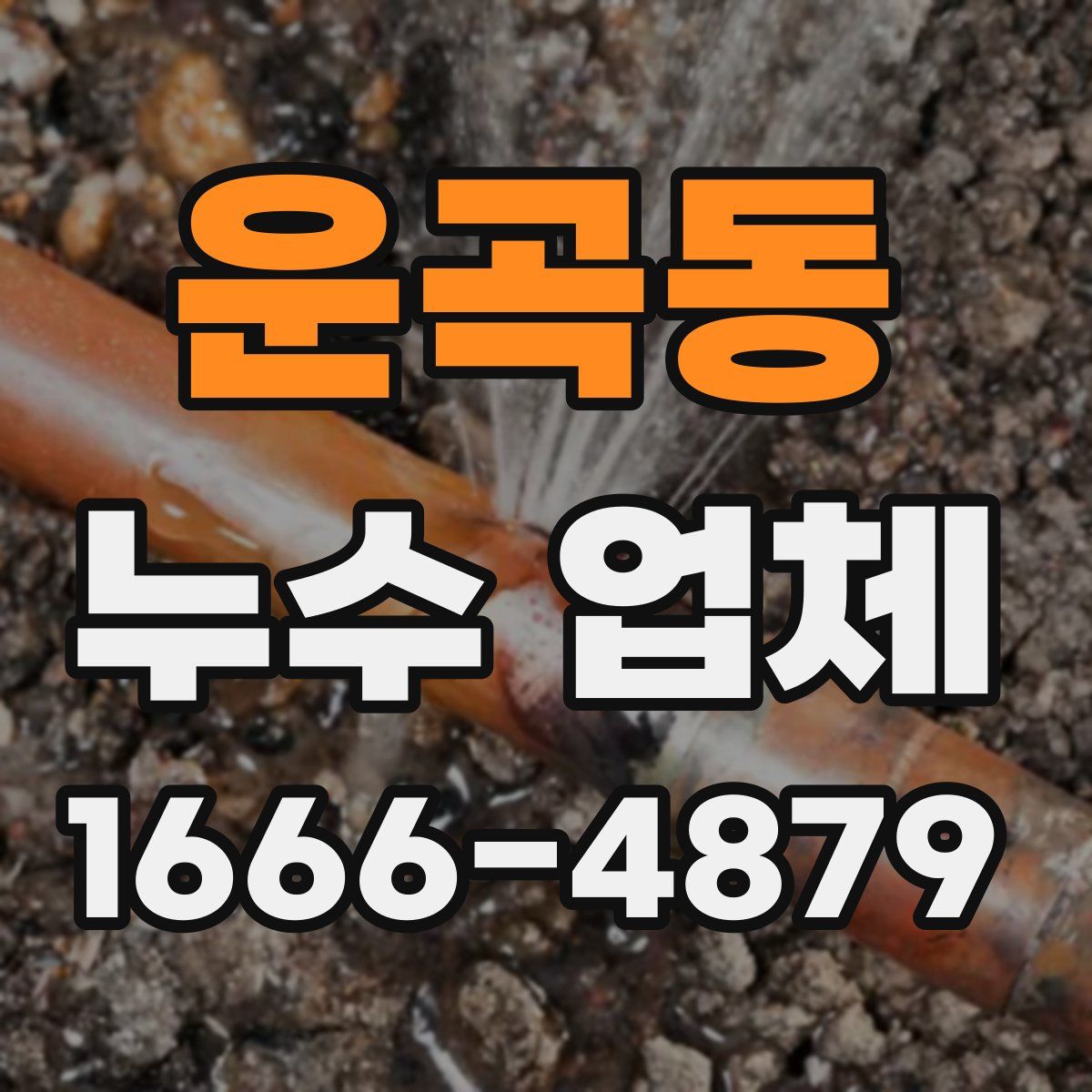 운곡동 누수 업체