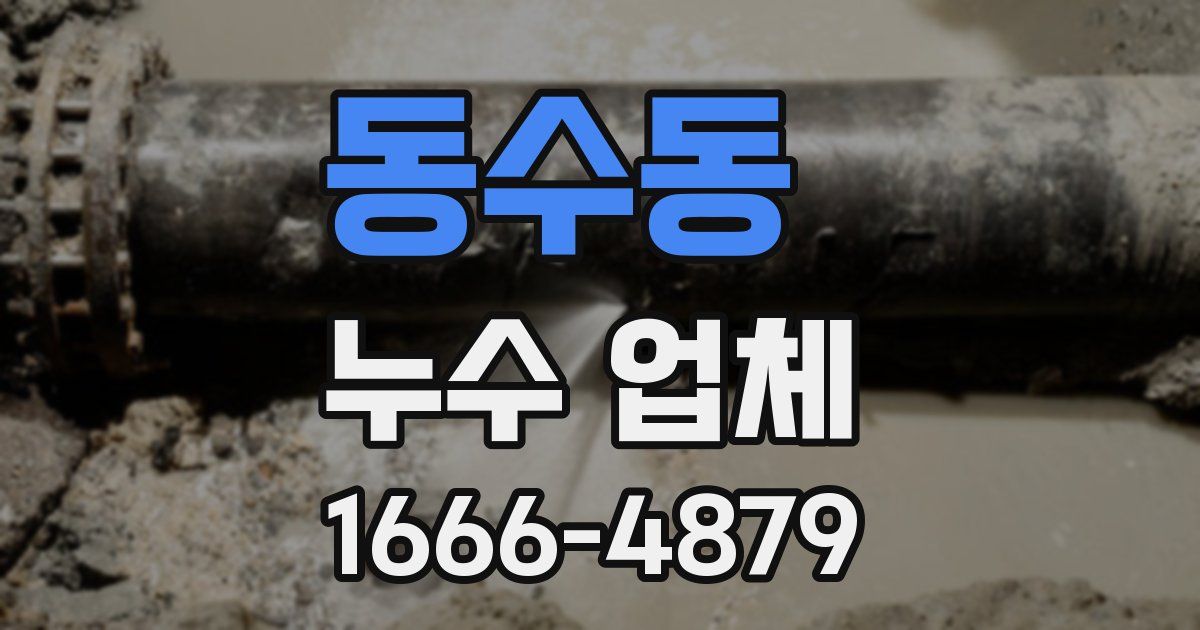 동수동 누수 업체