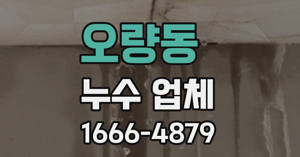 오량동 누수 업체
