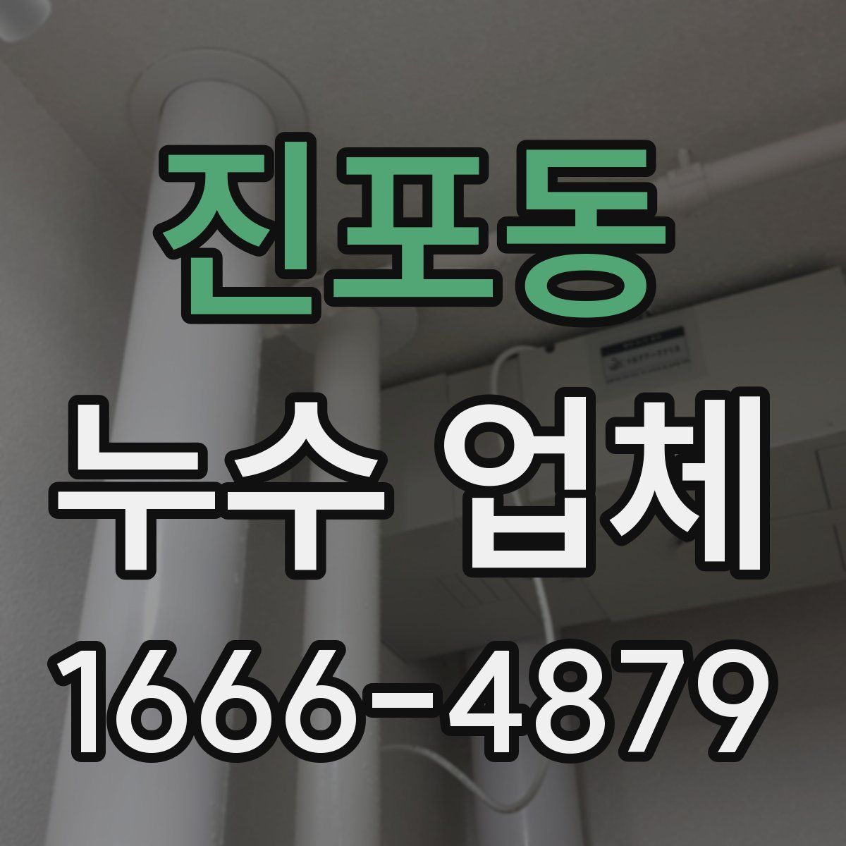 진포동 누수 업체