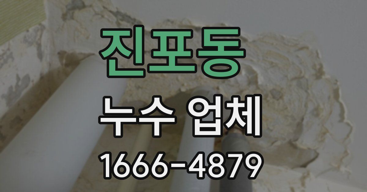 진포동 누수 업체