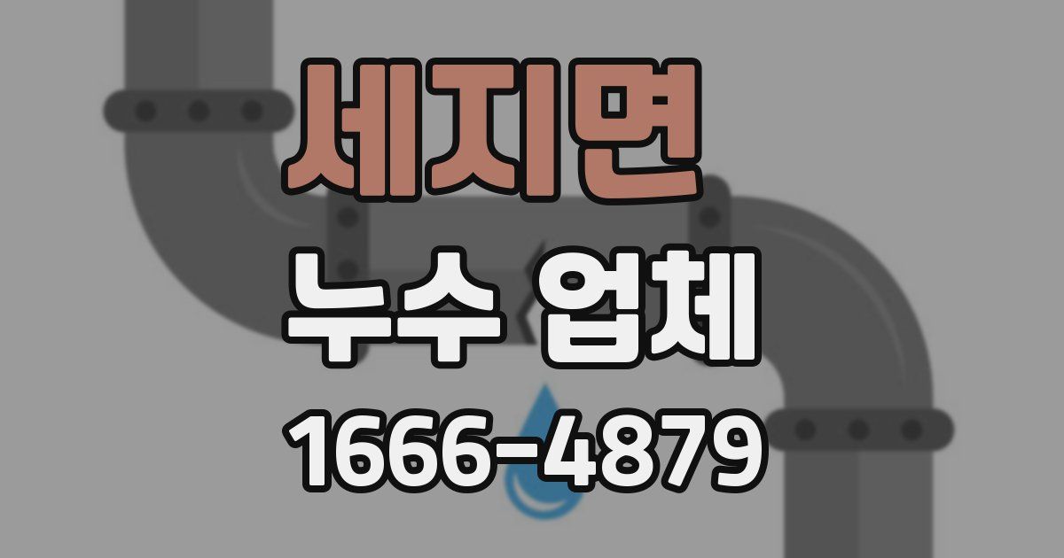 세지면 누수 업체