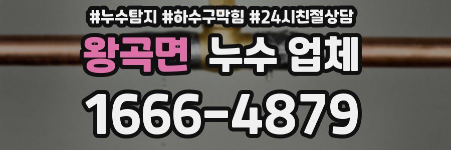 왕곡면 누수 업체