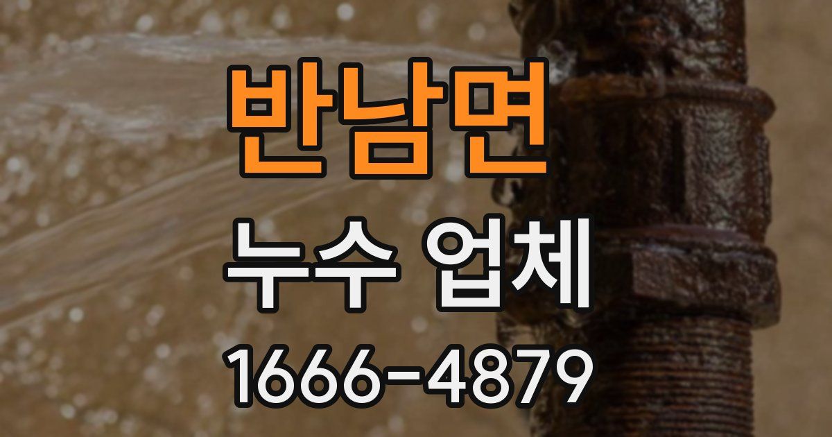 반남면 누수 업체