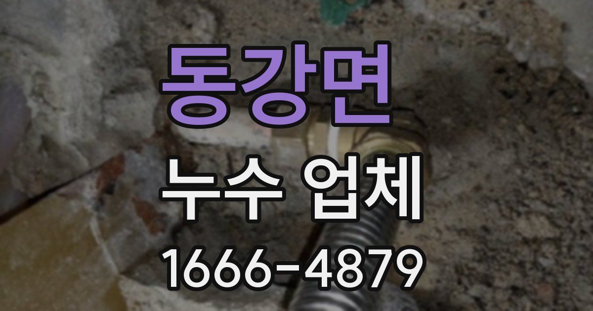 동강면 누수 업체