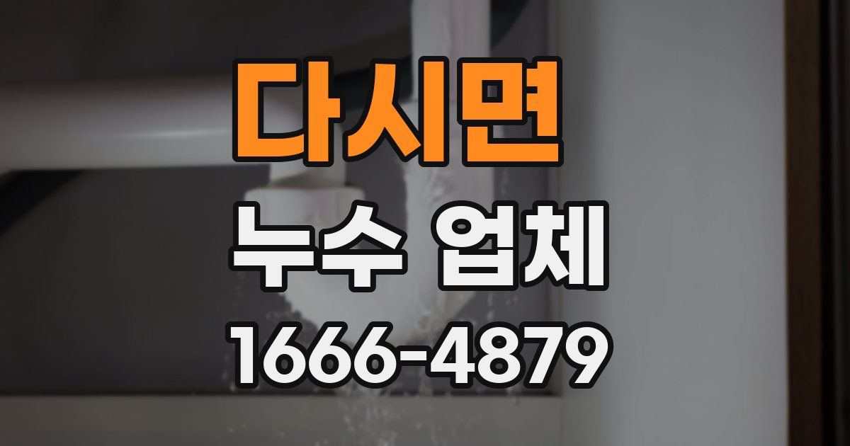 다시면 누수 업체