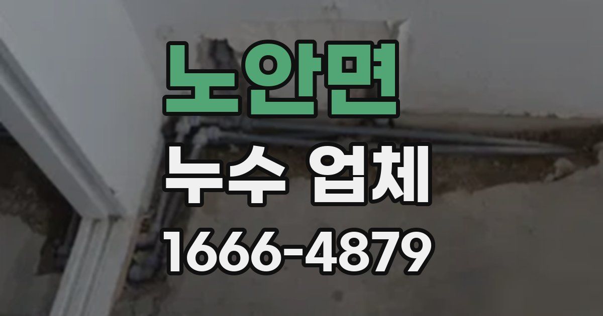 노안면 누수 업체