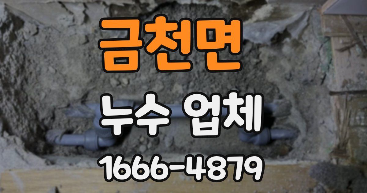 금천면 누수 업체