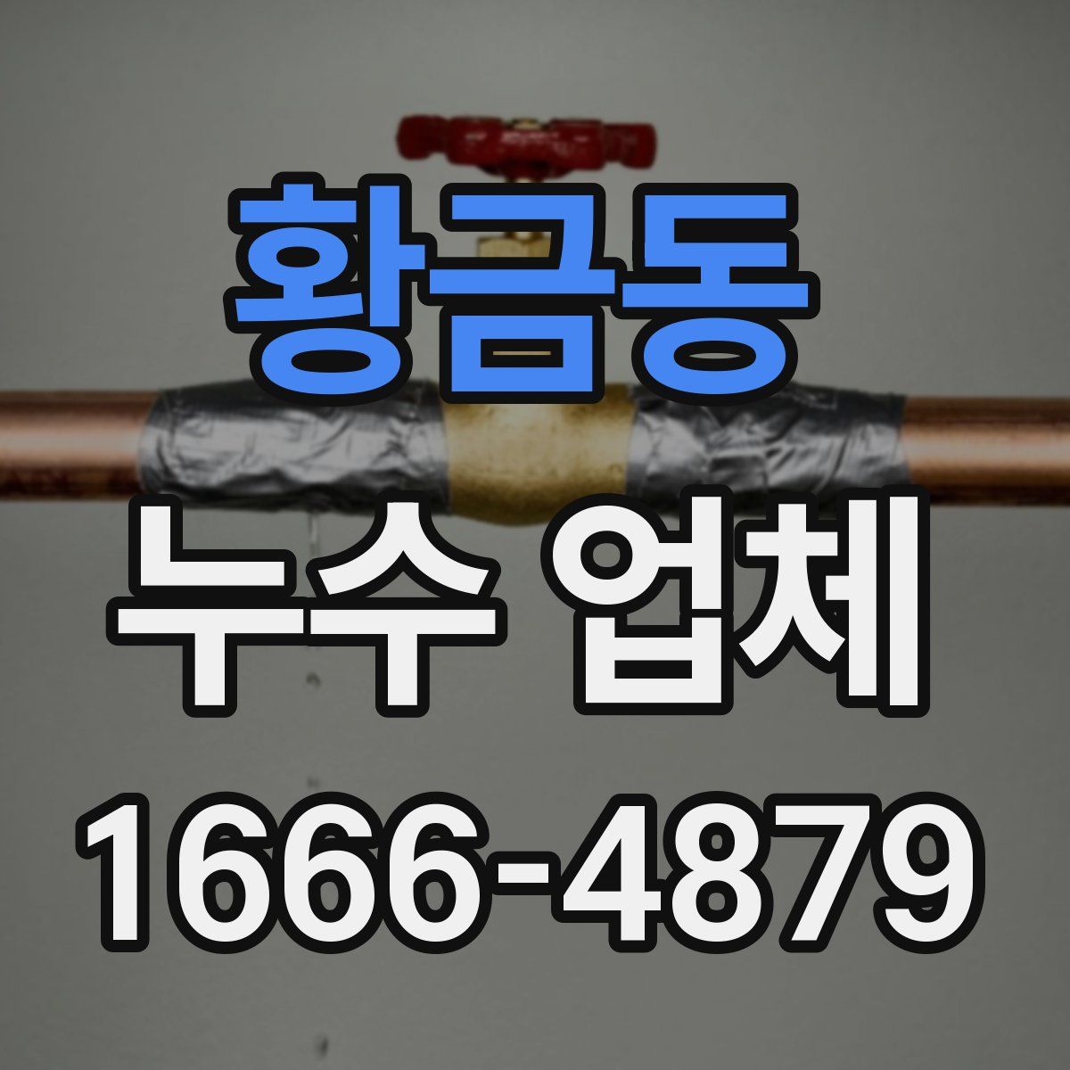 황금동 누수 업체
