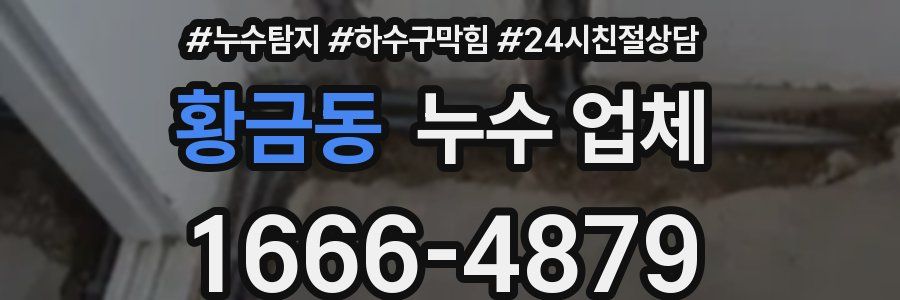 황금동 누수 업체