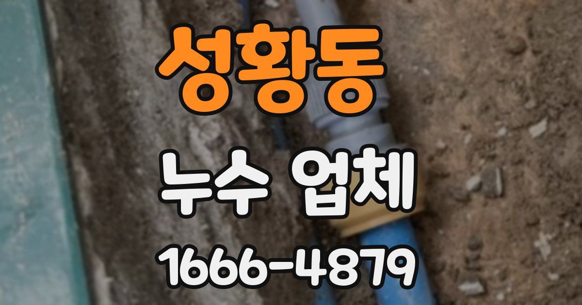 성황동 누수 업체