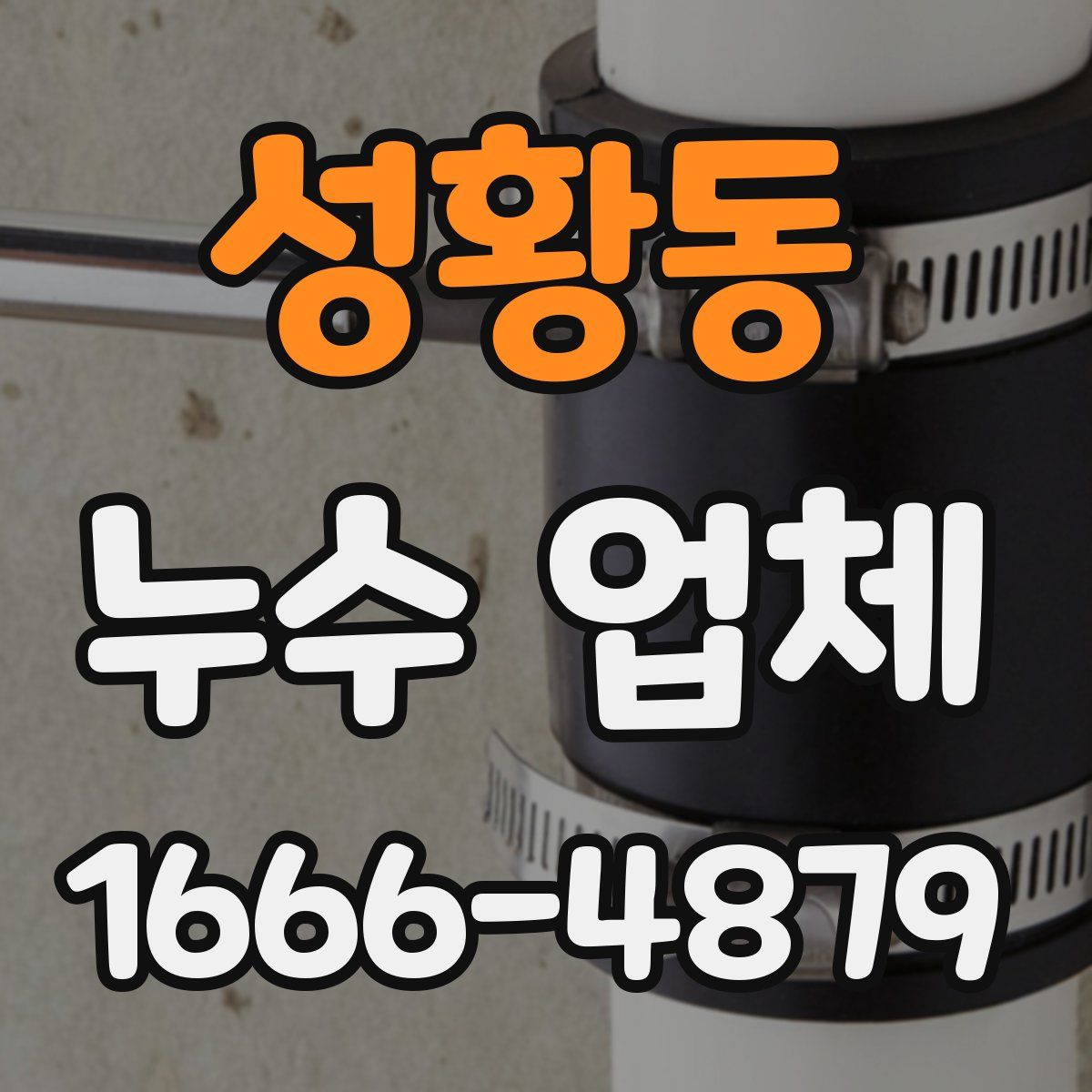 성황동 누수 업체