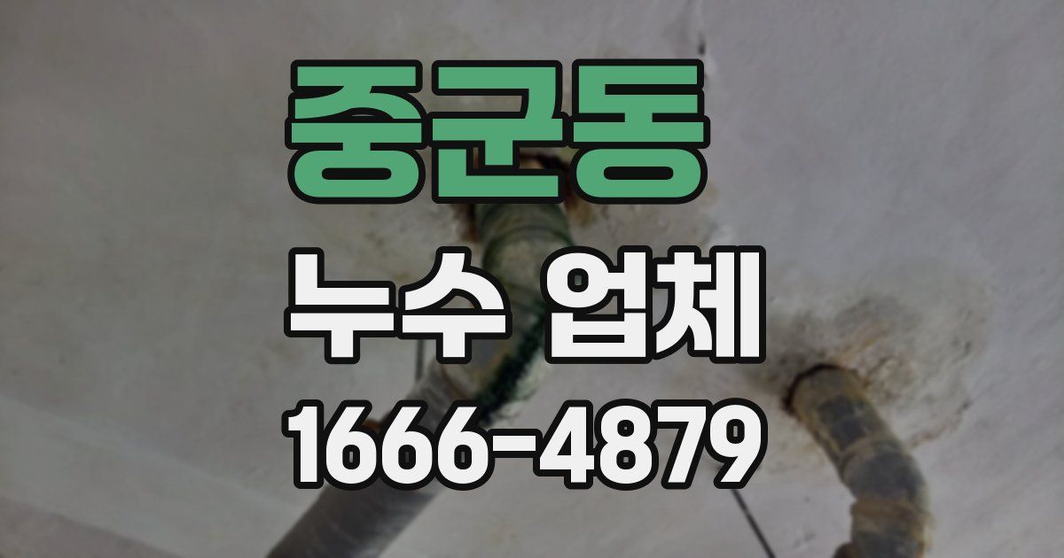 중군동 누수 업체