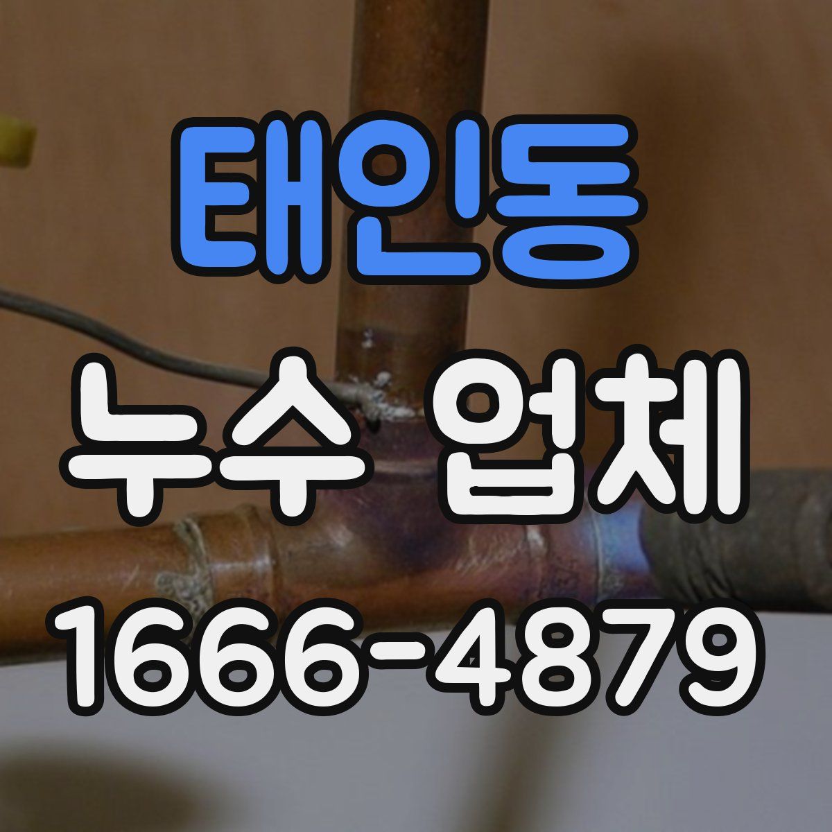 태인동 누수 업체