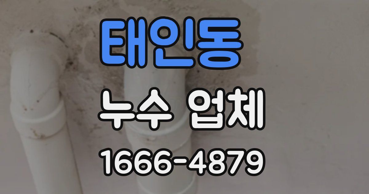태인동 누수 업체