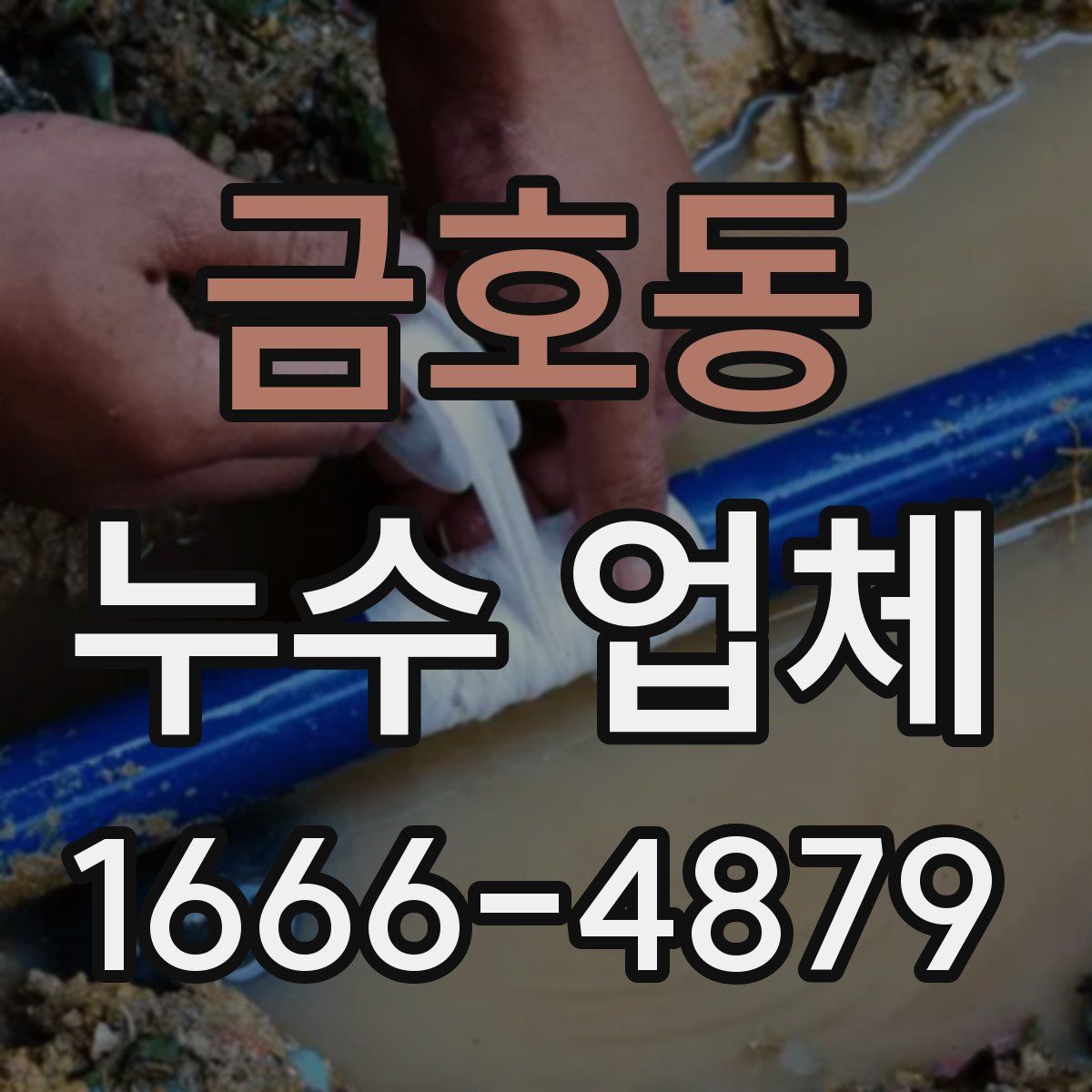 금호동 누수 업체