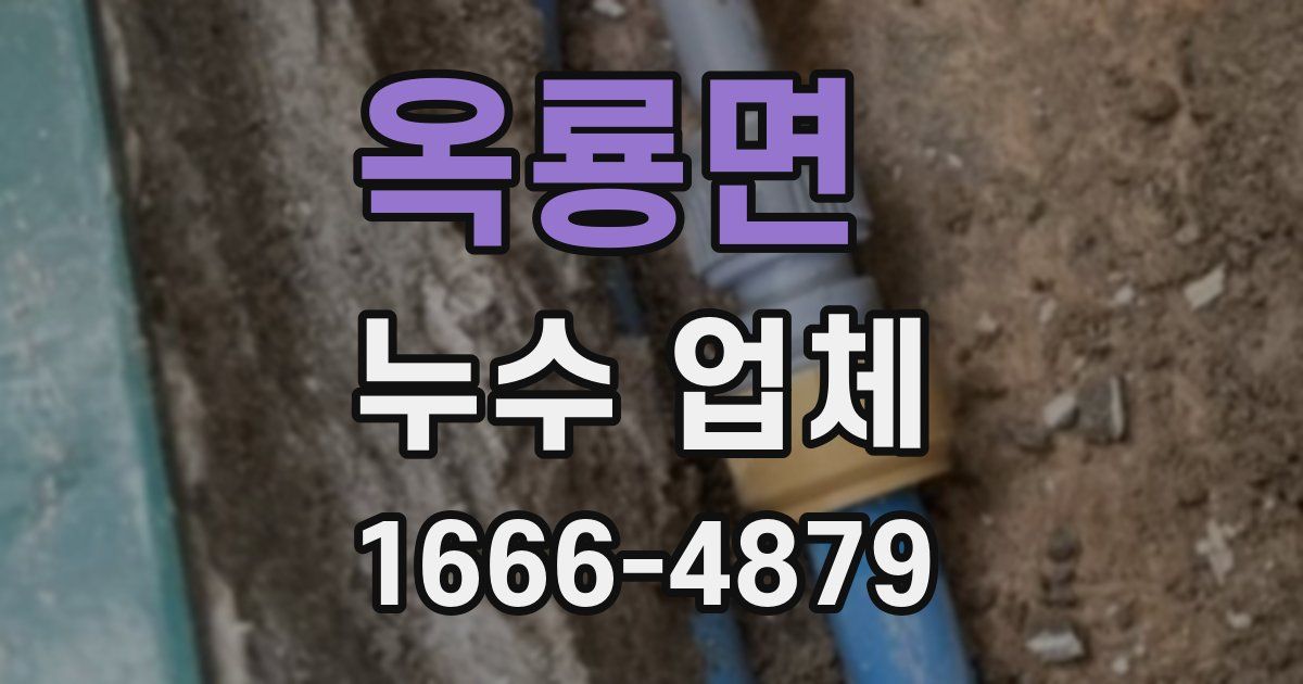 옥룡면 누수 업체