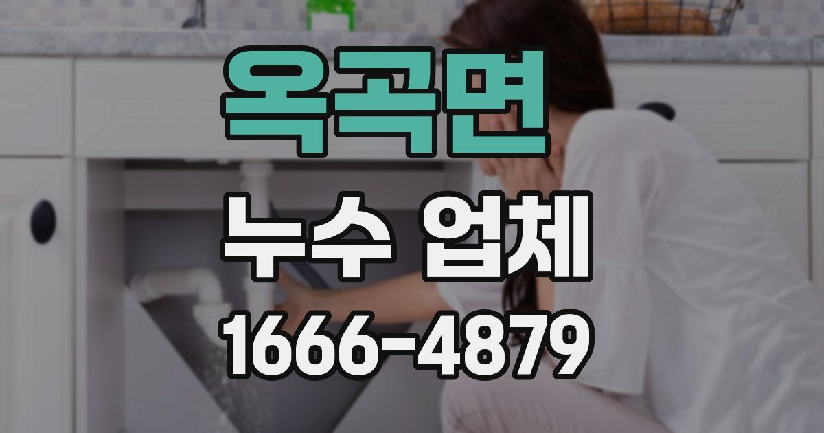 옥곡면 누수 업체