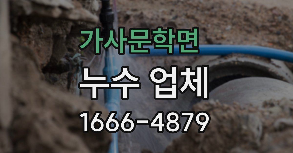 가사문학면 누수 업체