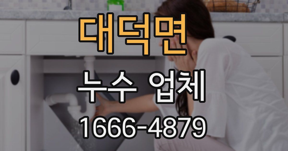 대덕면 누수 업체