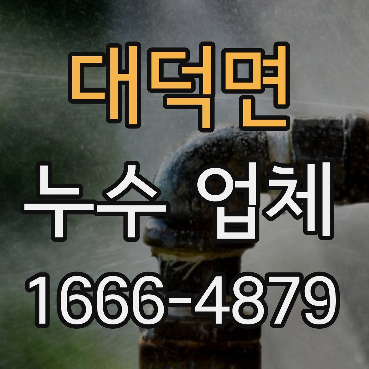 대덕면 누수 업체