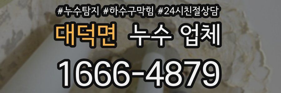 대덕면 누수 업체