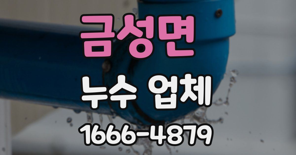 금성면 누수 업체