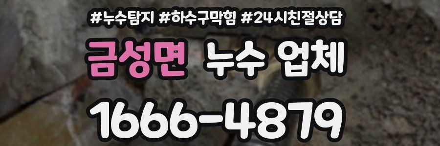 금성면 누수 업체