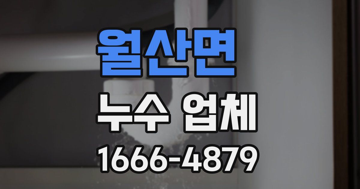 월산면 누수 업체