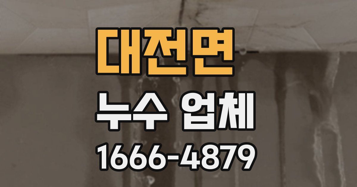 대전면 누수 업체