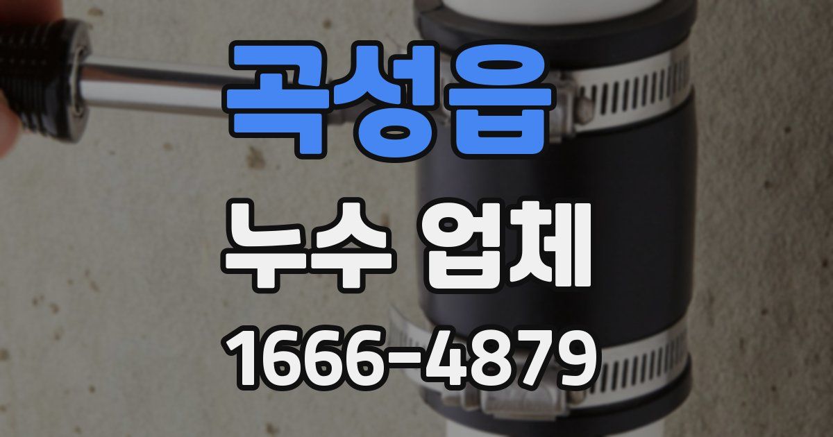 곡성읍 누수 업체