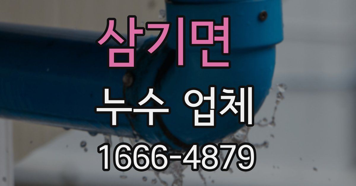 삼기면 누수 업체