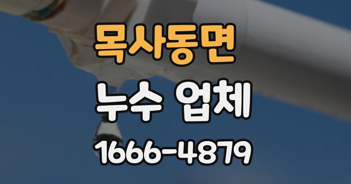 목사동면 누수 업체